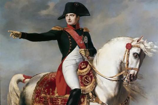 Наполеон Бонапарт – краткая биография