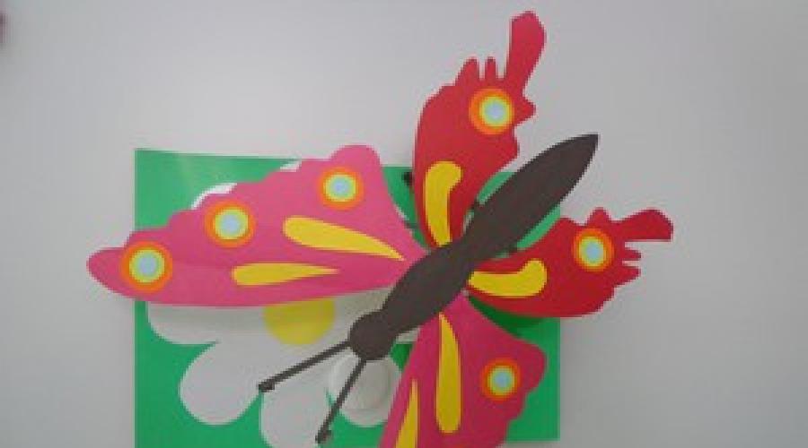 Шаблоны бабочек на стену для вырезания распечатать. Как из бумаги сделать бабочку своими руками на стену: шаблоны, трафареты для распечатывания и вырезания, фото