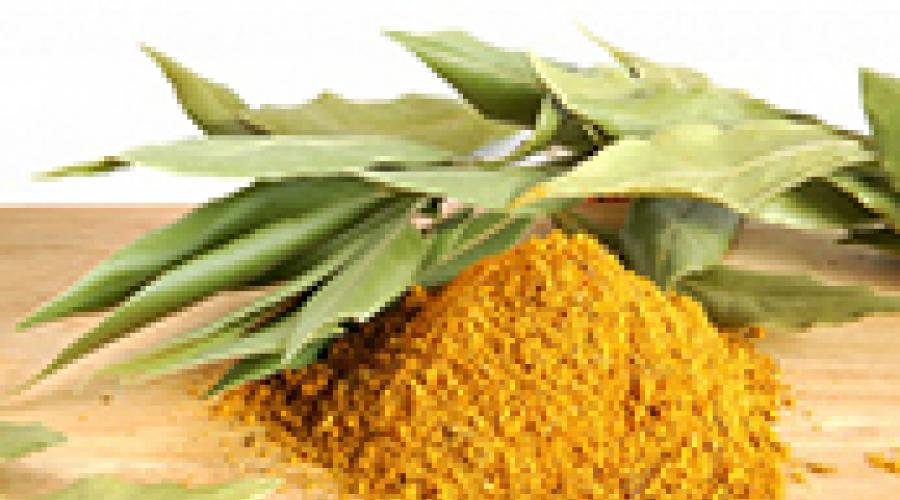 Листья карри. Листья карри — секретный ингредиент индийских блюд